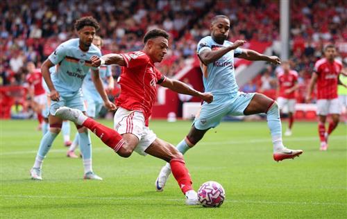 Nairaland Bet: Guide to Safe Sports Betting in Nigeria